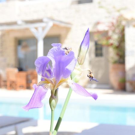Laini Luxury Suites Pombia Exteriér fotografie
